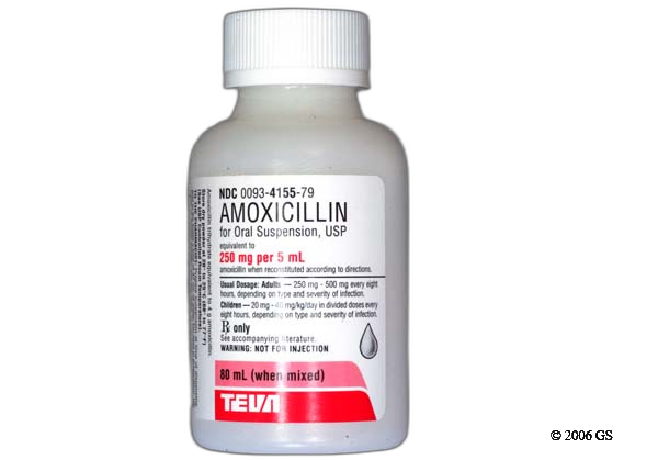 Amoxicillin