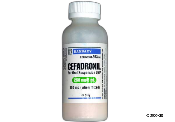 Cefadroxil
