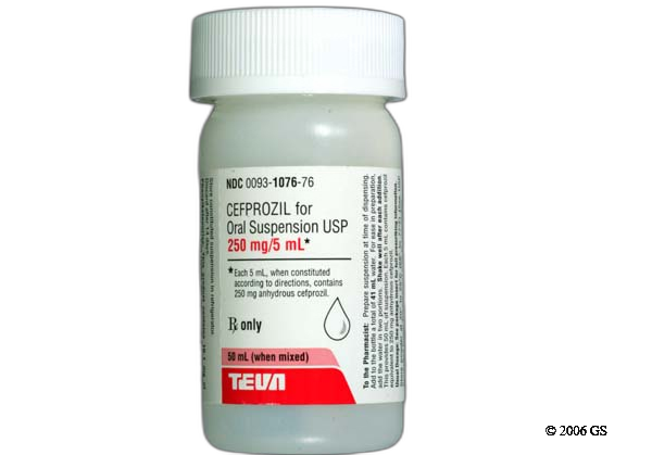 Cefprozil