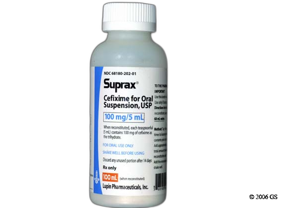 buy suprax cefixime