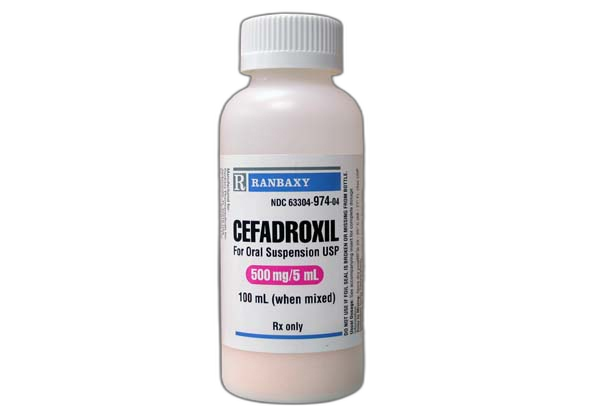 Cefadroxil