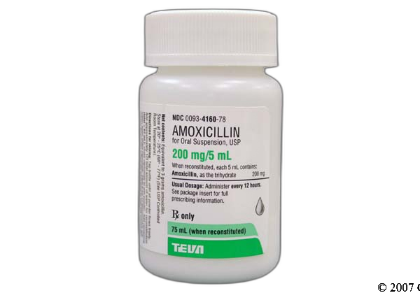 Amoxicillin