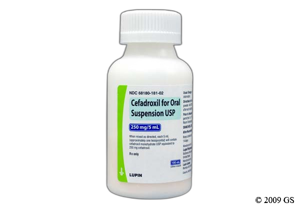 Cheap cefadroxil