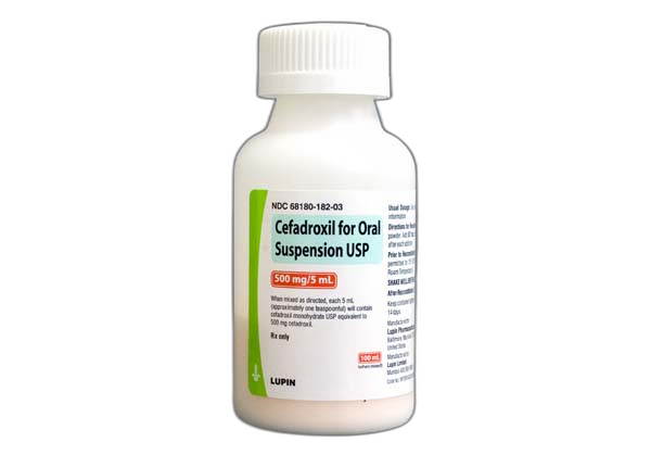 Buy duricef antibiotic