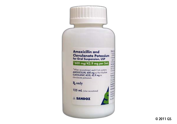 Augmentin generic price