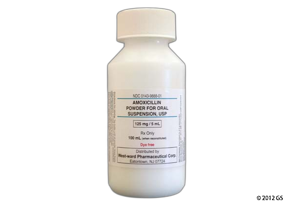 Amoxicillin