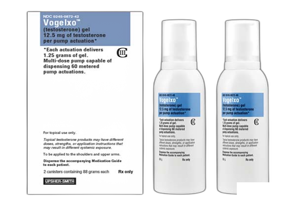 Vogelxo