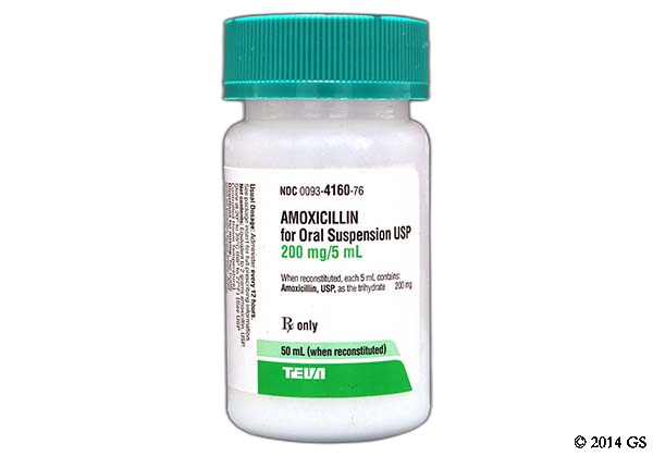 Amoxicillin