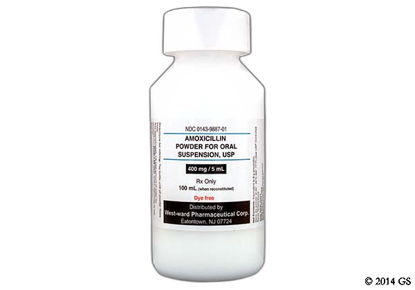 Amoxicillin Amoxil Basics Side, Can Amoxicillin Make Your Stool Black