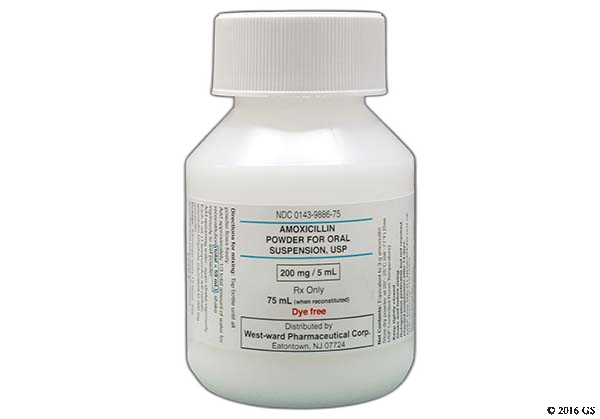 Amoxicillin Lowest Price