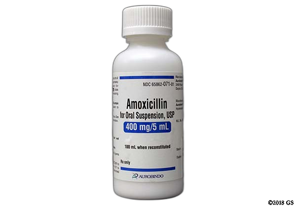 Cost of amoxicillin liquid at cvs