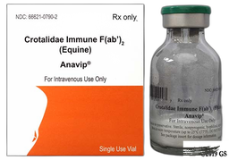 Anavip Coupon - Anavip 10ml of 12mg/ml vial