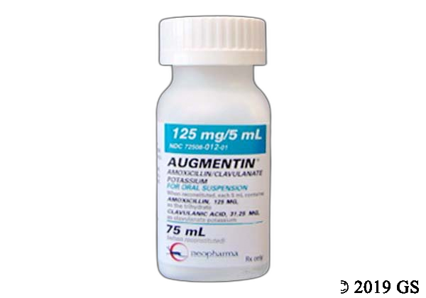 Generic augmentin price