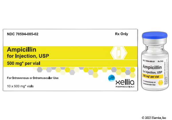 Cheap ampicillin
