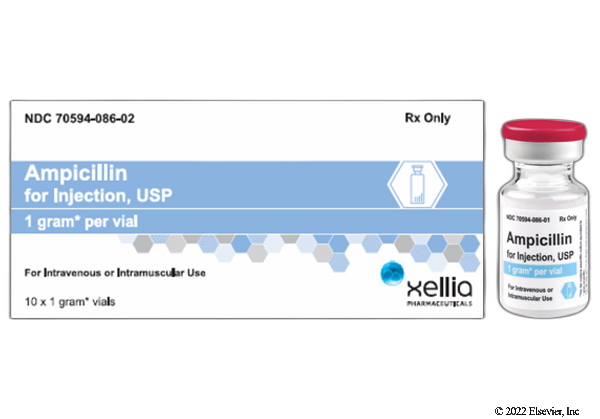 Ampicillin iv cost