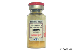 Amphotericin B Coupon - Amphotericin B 50mg vial