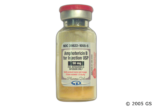 generic Ambisome