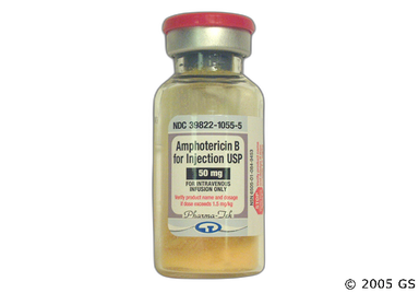 Amphotericin B Coupon - Amphotericin B 50mg vial