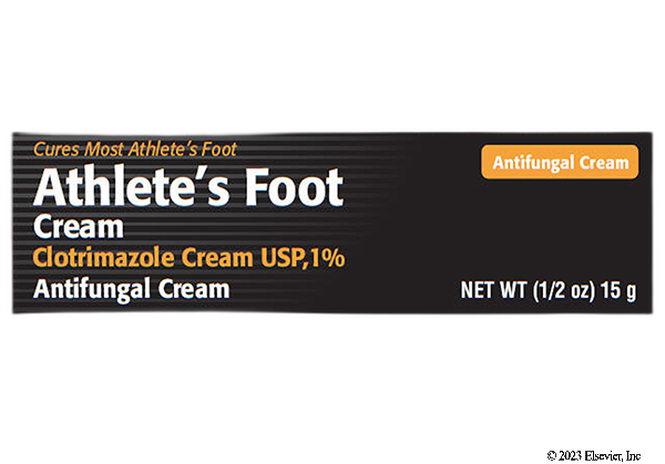 Erkaklar yashirin kamerada ayollarning mushuklariga qarashadi