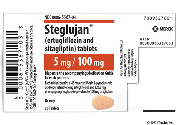 Steglujan