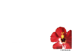 Setlakin Coupon - Setlakin 91 tablets of 0.15mg/0.03mg package