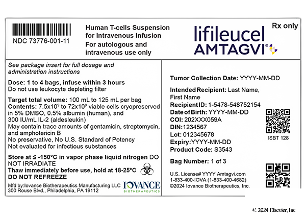 Amtagvi