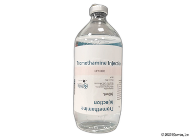 Tromethamine Coupon - Tromethamine 500ml of 150mEq/500ml vial