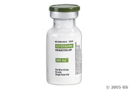 Cefotaxime Coupon - Cefotaxime 500mg vial