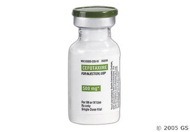 Cefotaxime Coupon - Cefotaxime 500mg vial