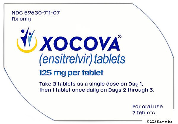 Xocova