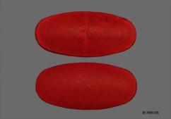 Proferrin Forte Coupon - Proferrin Forte 1mg/12mg tablet