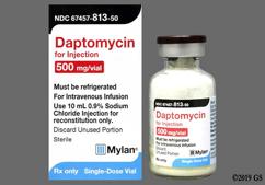 brown - Daptomycin 500mg Powder for Injection