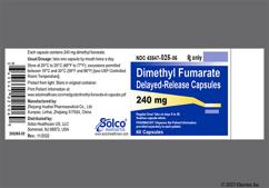 Brown 613 240 Mg - Dimethyl Fumarate 240mg Delayed-Release Capsule