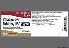 Generic Valacyclovir Pills