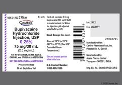 colorless - Bupivacaine Hydrochloride 0.25% Solution for Injection