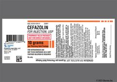 white - Cefazolin Sodium 10g Bulk Powder for Injection