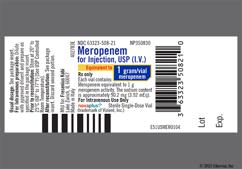 yellow - Meropenem 1g Powder for Injection (NOVAPLUS)
