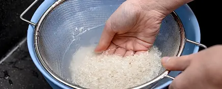 Can Drinking Rice Water Help You Lose Weight? Or is the 'Rice-Zempic' Trend Hype?