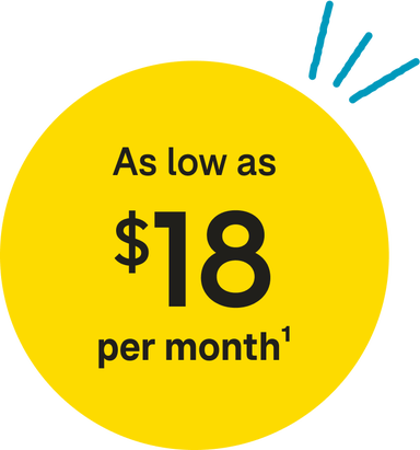 Yellow circle with text reading 'As low as $18 per month*'.