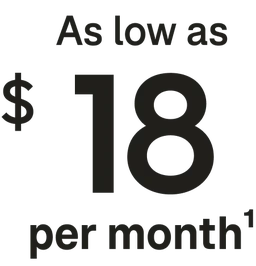 Clickable button with text: "as low as $18 per month"